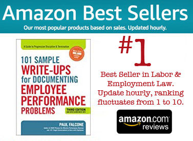 101 Sample Write-Up Ranked as #1 Bestseller on Amazon amazonbesteller2